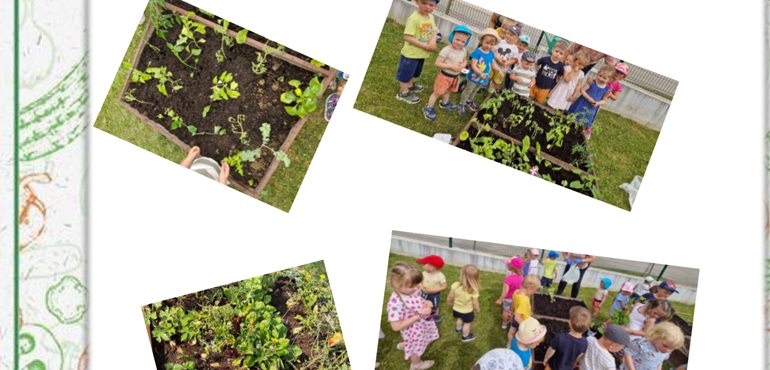 Projekt Vrt za vrtić